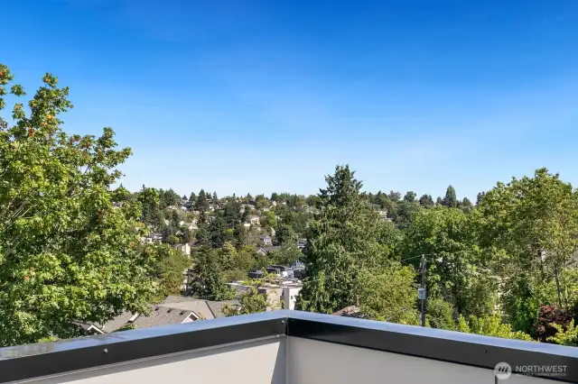Southeast corner view from rooftop, plenty of space for a view-capturing bistro table.