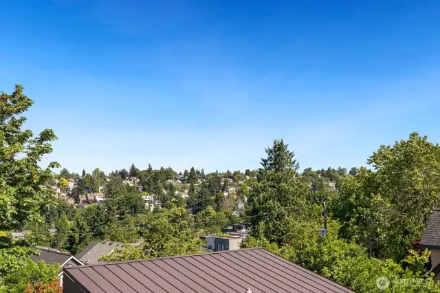 Charming neighborhood view between decks