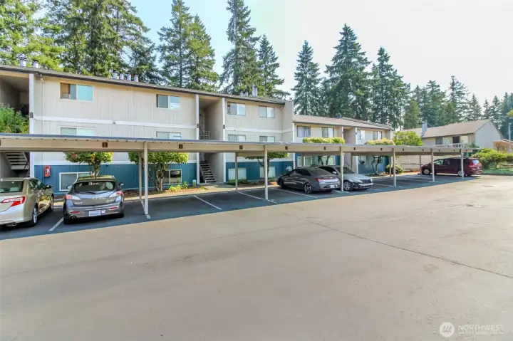 Welcome to Winchester Heights!