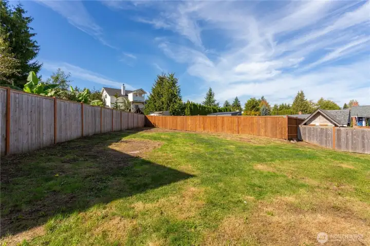 Huge backyard