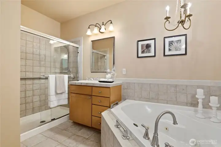 Primary bath with walk-in shower.