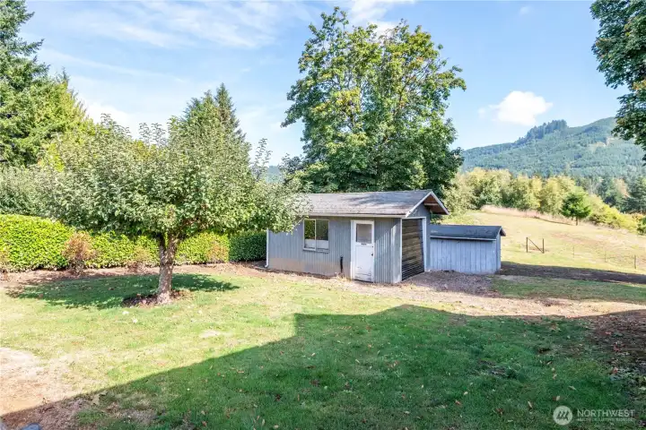 Fruit Tree and Garage