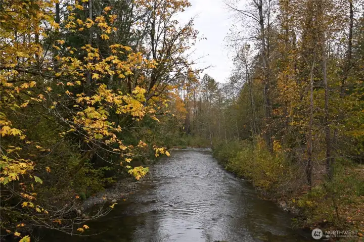 SHY 200ft of Wallace River Frontage!