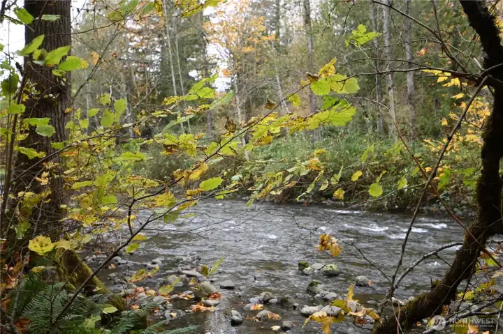 Peaceful river frontage for your private retreat!