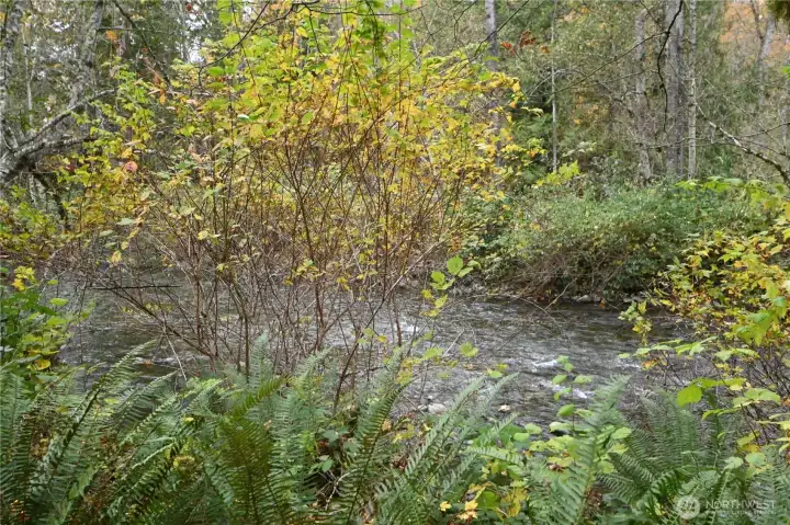 ON THE BANKS OF THE WALLACE RIVER.