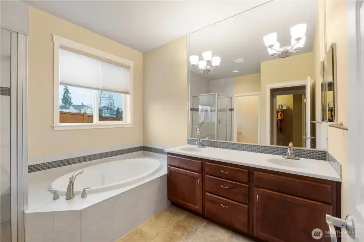 Primary bathroom with quartz counters
