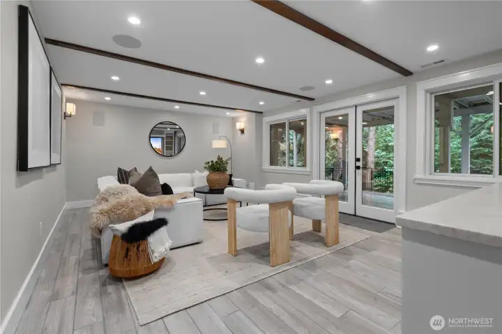 Downstairs media room