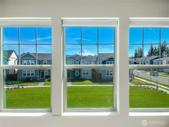 View of Mt. Rainier from the primary.