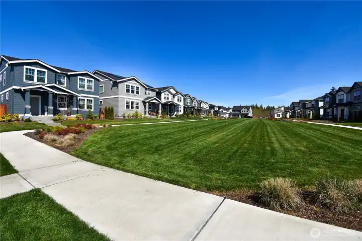 View of the shared green space.