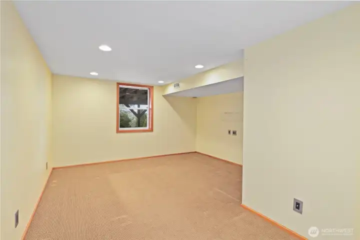 Downstairs Family Room