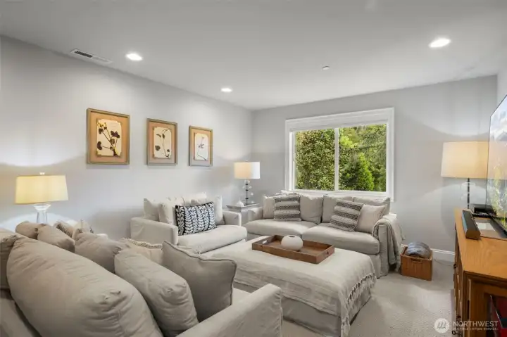 Bonus/media room