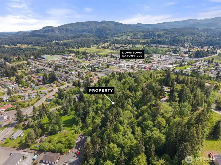 Elevated parcel with a natural setting above the heart of Eatonville Elevated parcel with a natural setting above the heart of Eatonville