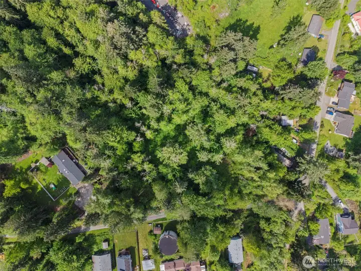 Private wooded parcel with potential for a custom home or retreat setting. Private wooded parcel with potential for a custom home or retreat setting.