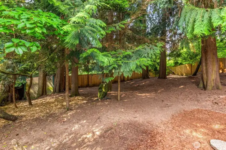 Fully fenced backyard