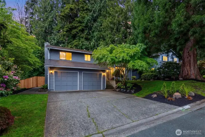 Large lot with mature evergreens