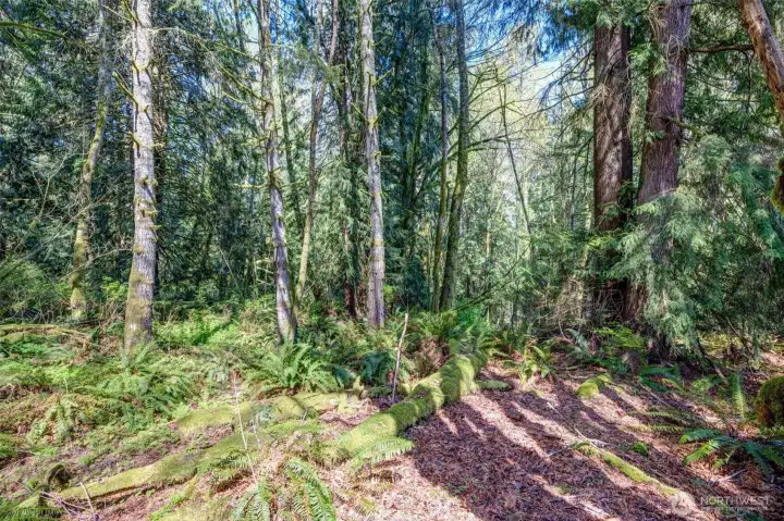 Had an approved 4 bedroom septic, but has not expired Had an approved 4 bedroom septic, but has not expired