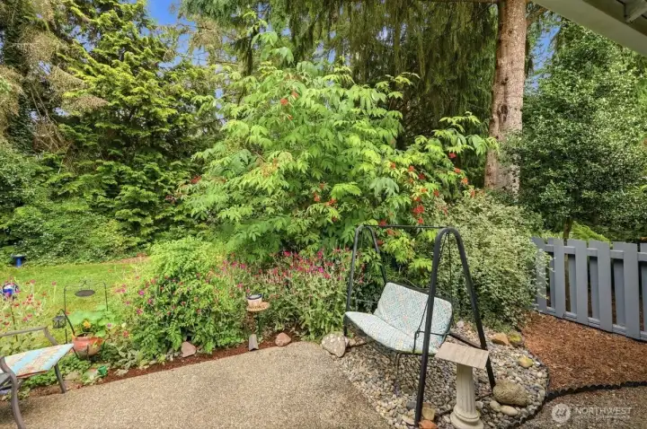 Back Yard Patio & lots  of plants