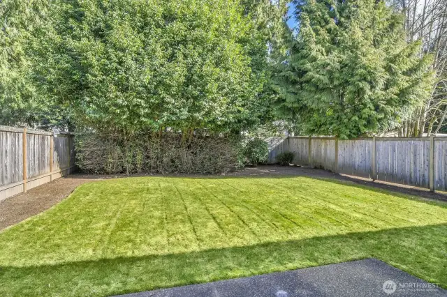Unit A - Beautiful, spacious fenced backyard!