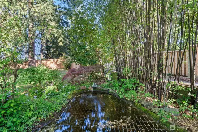 Small Pond