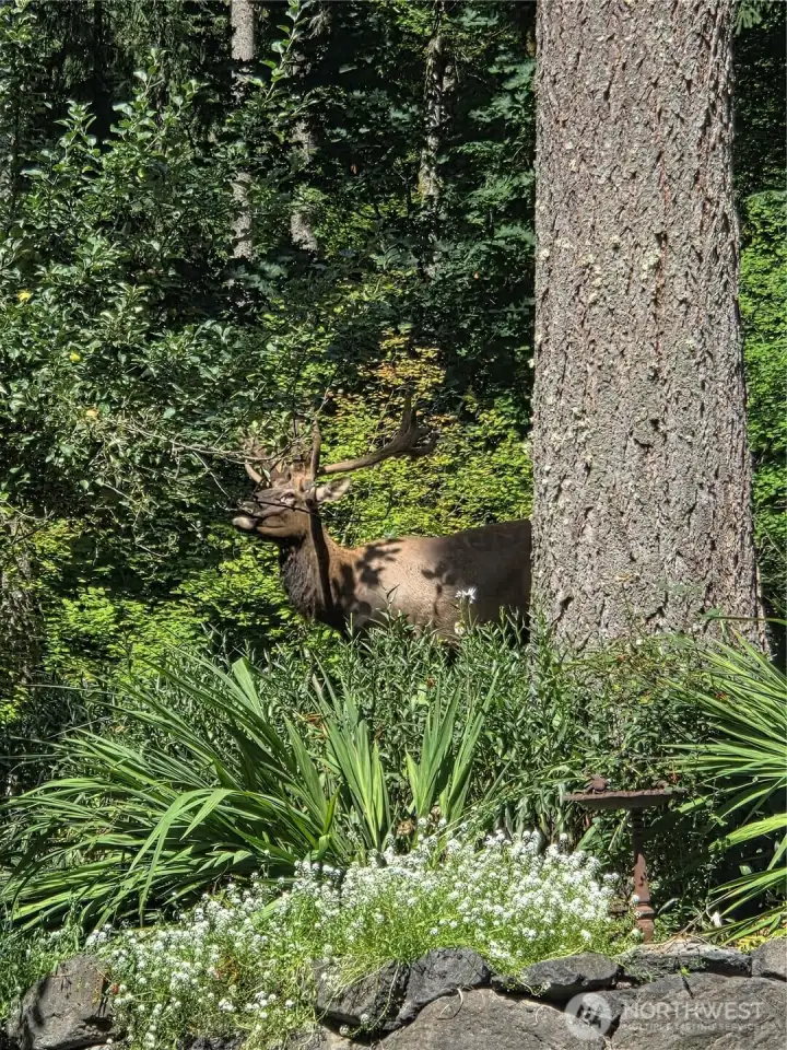 Friendly neighbors!