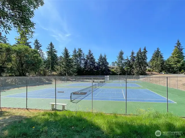 Tennis & pickleball courts