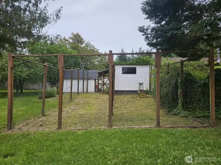 Dog Run