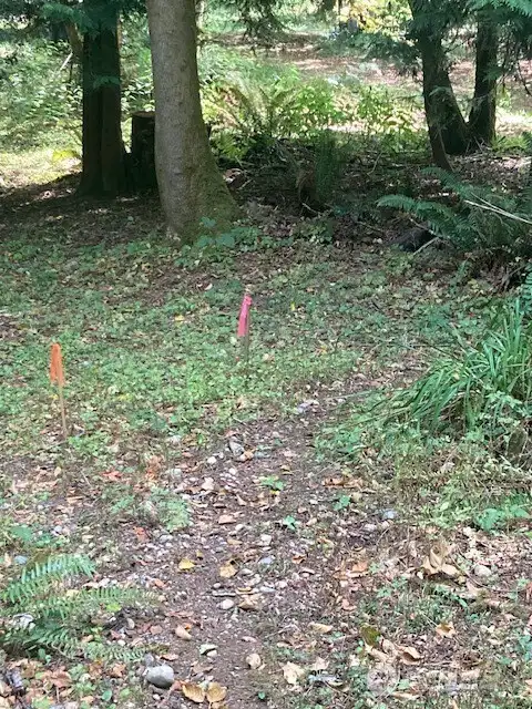 Corners at the back of the property.