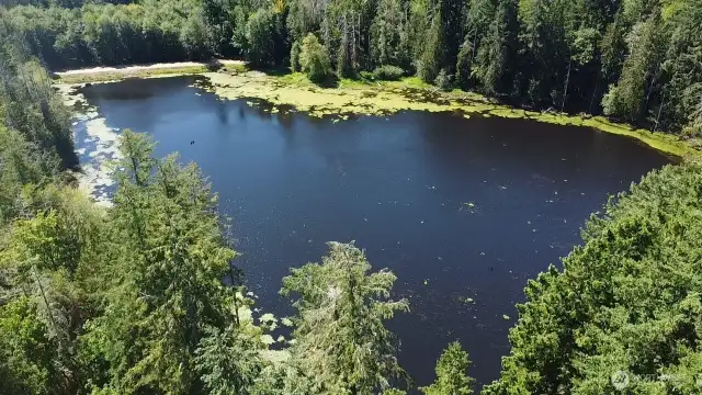 Drone view of the lake.