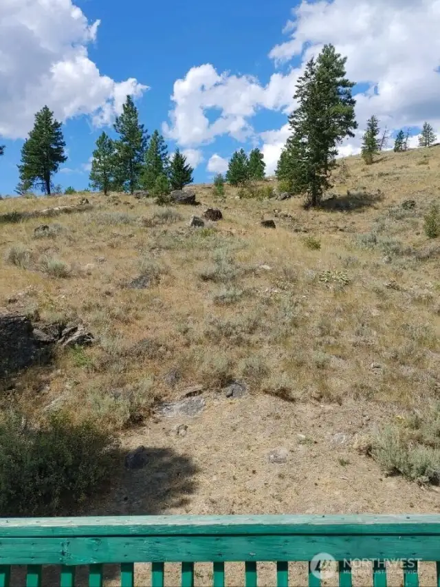 view from back deck