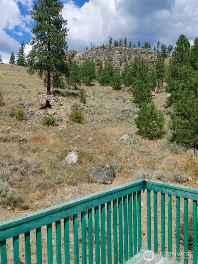 view from back deck