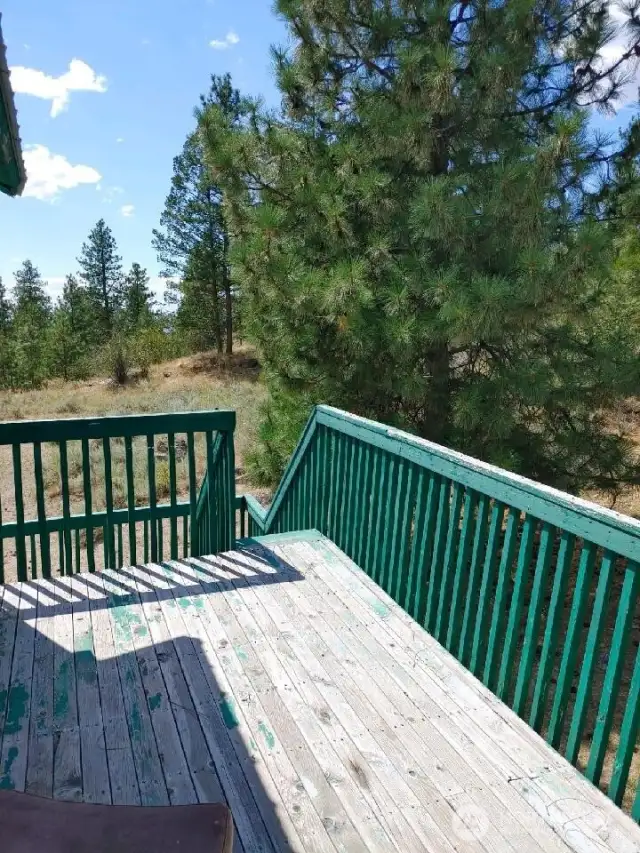 view from back deck