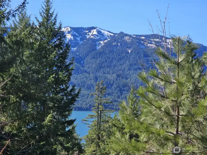 All these trees are on this parcel, take them down and it will open the lake views tremendously!