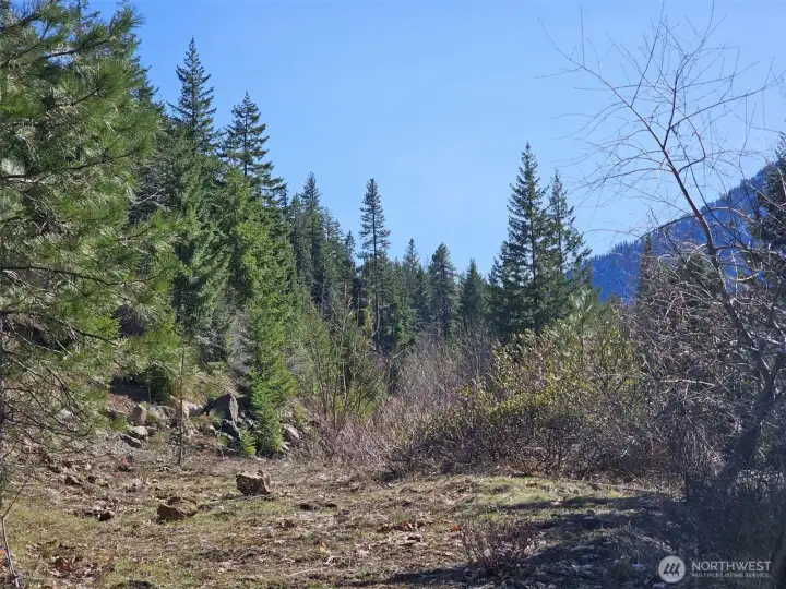 Nice, level building pad