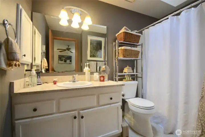 The main bath is a super efficient space with quartz topped vanity and a full bathtub and shower combo. A skylight adds extra light.