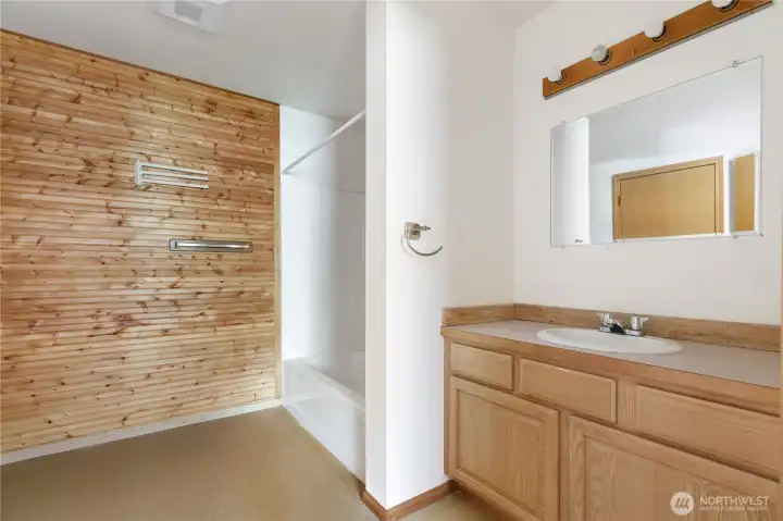 Lower level bathroom