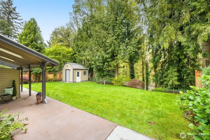 Unit B backyard and deck