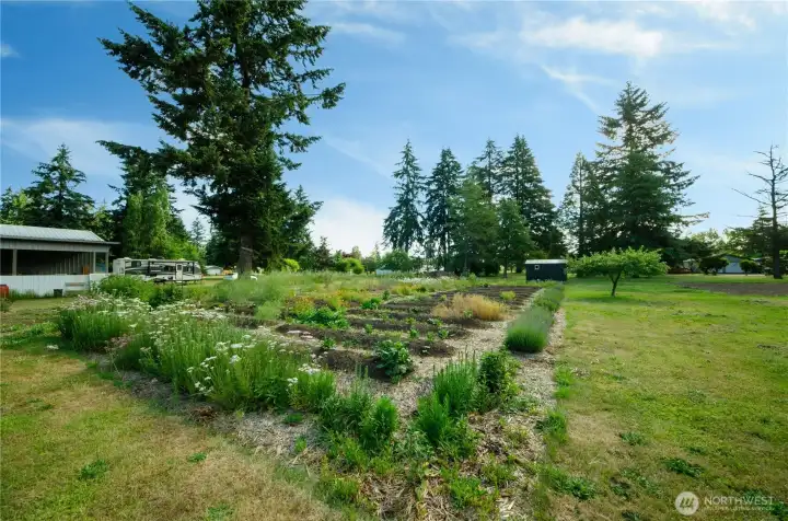 Garden area