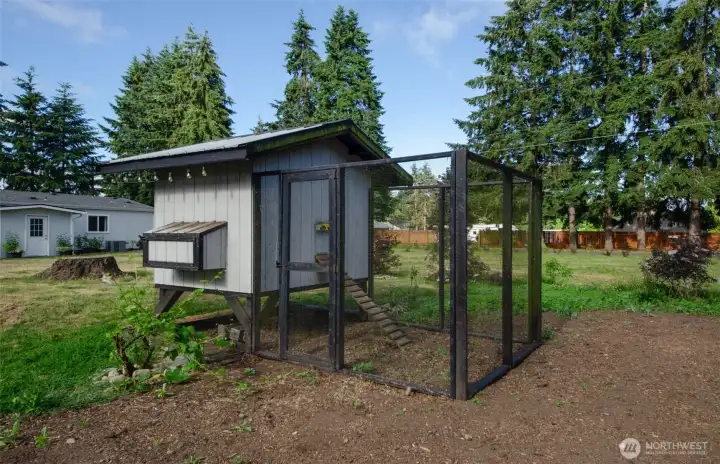 Chick coop with outdoor area for chickens