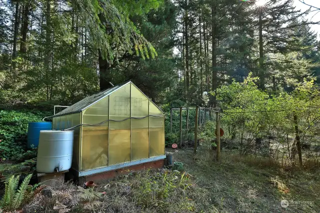 Greenhouse & fenced garden with rain  barrels.