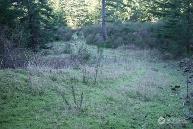 NW2: Road leading to lower pasture