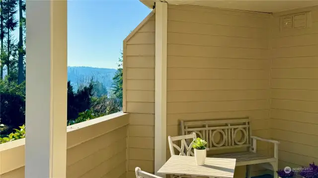 Glimpse of Apple Tree Cove from patio