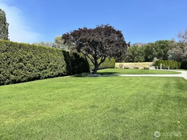 Front green lawn