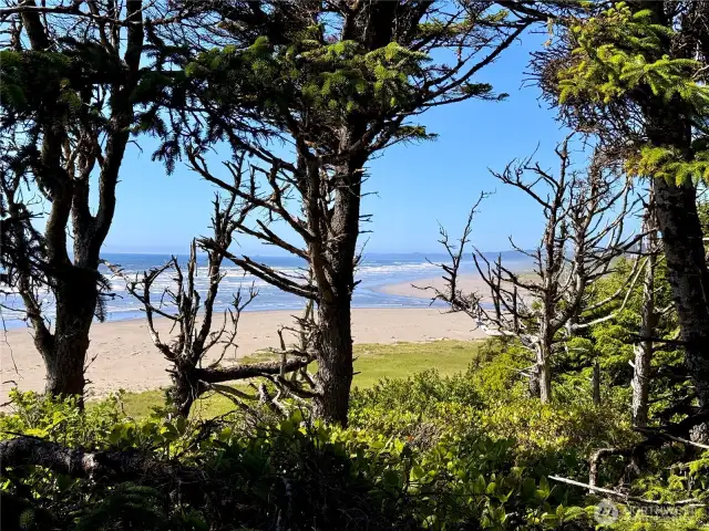 View from property
