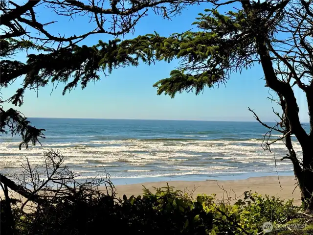 View from property