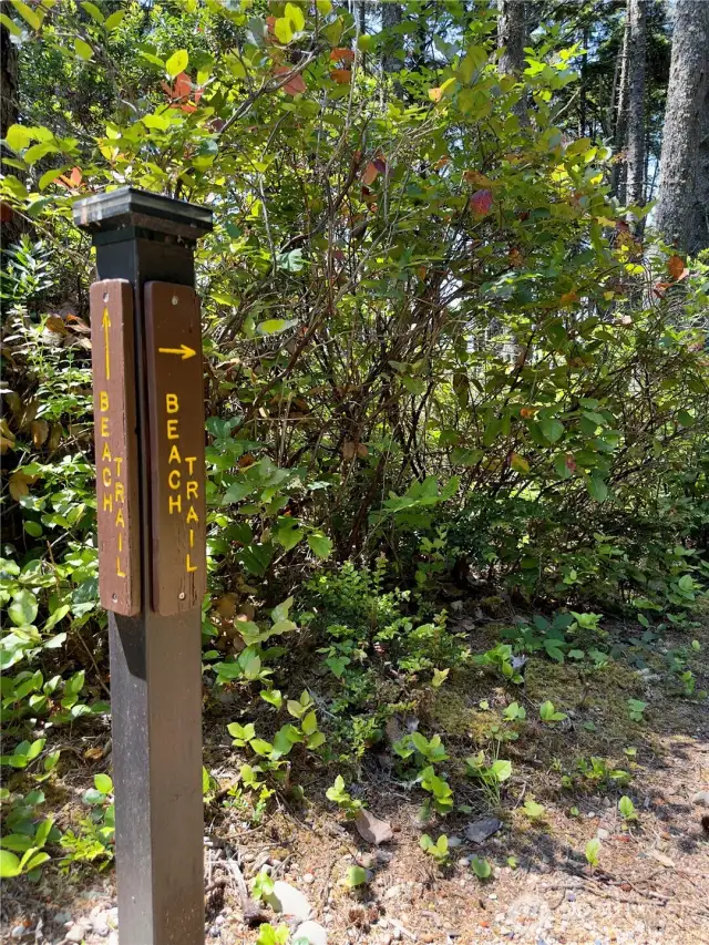 Community trail to the beach