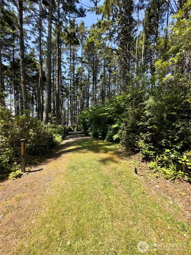 Community trail to the beach