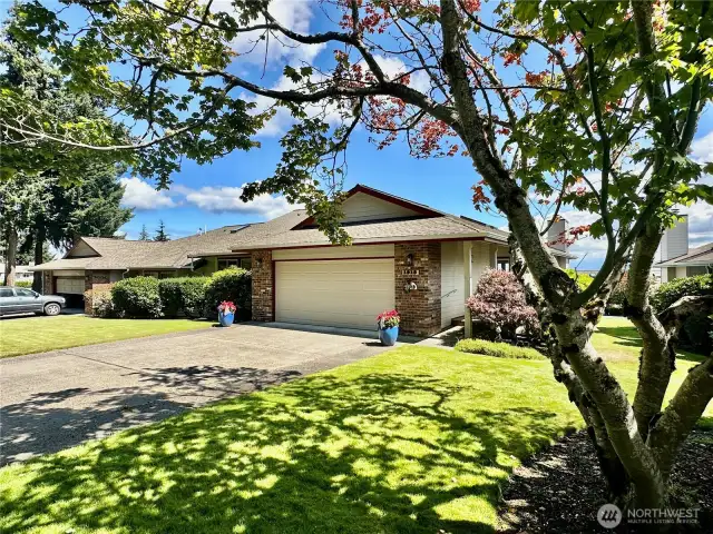 Front/Driveway