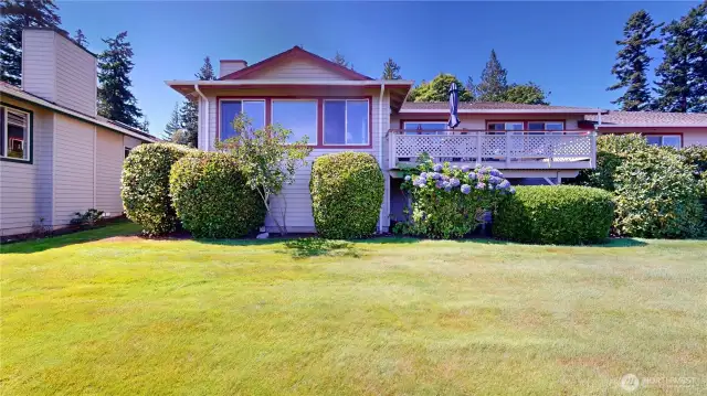 Spacious back yard