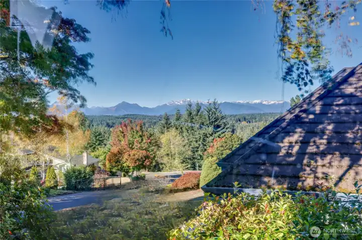 View from the front living room, the Olympics are stunning!