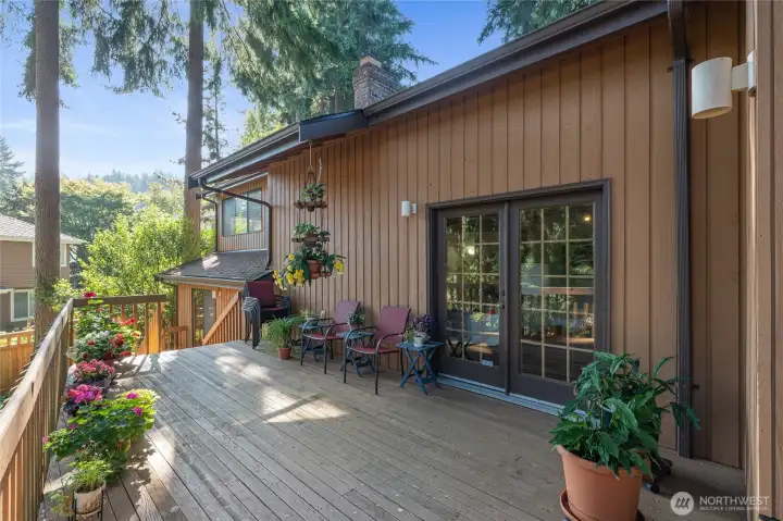 Expansive elevated deck surrounded by mature evergreens, offering a private outdoor retreat with ample space for seating, container gardening, and enjoying the peaceful natural setting.